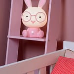 Dodo Rabbit