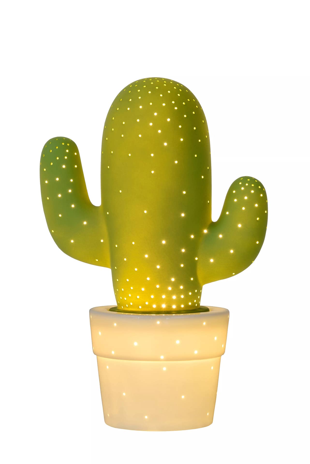Cactus - Image 5
