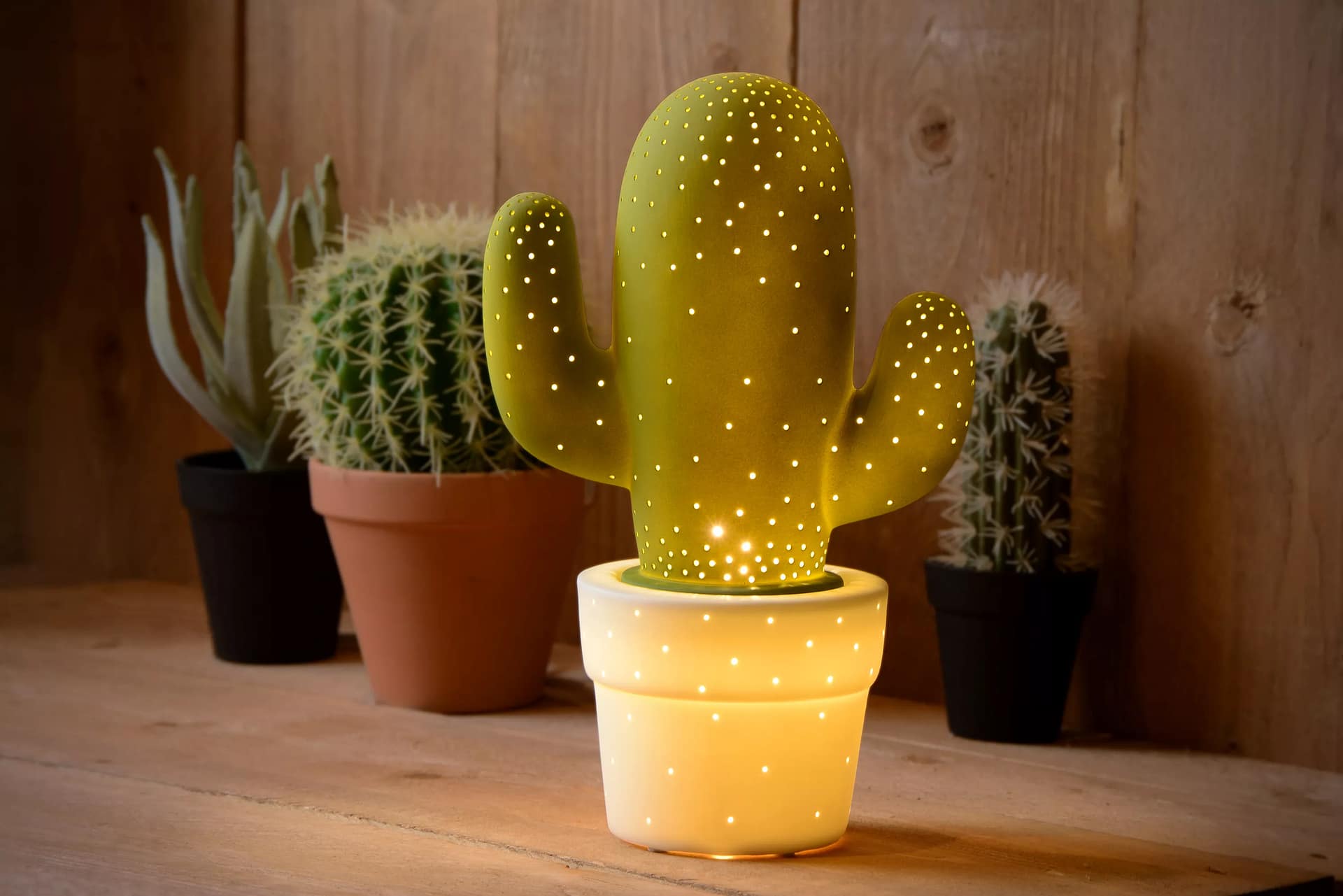 Cactus